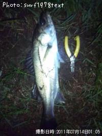 �����Х�