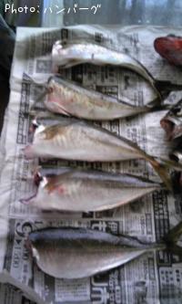 °³¡¦»ª¡¦¥á¥Ð¥ë