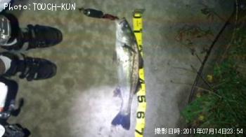 �����Х�