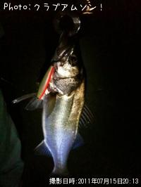 �����Х�