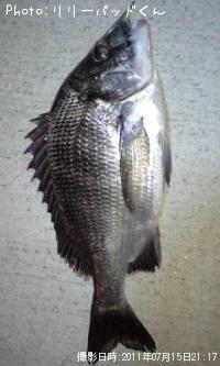 �����ꡡ�������Ӽ��ʾС�