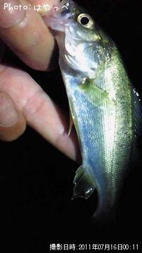 �����Х�