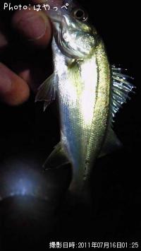 �����Х�