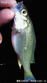 �����Х�