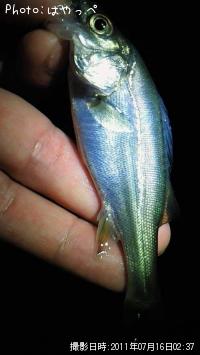 �����Х�