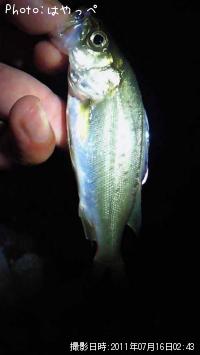 �����Х�