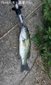 �֥�å��Х�