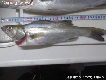 �����Х�