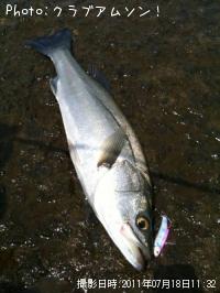 �����Х�