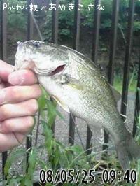 �֥�å��Х�