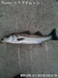 �����Х�