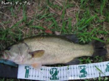 ¥Ö¥é¥Ã¥¯¥Ð¥¹