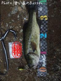 ¥Ö¥é¥Ã¥¯¥Ð¥¹