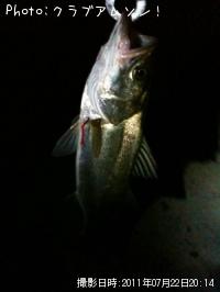 �����Х�