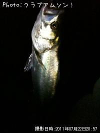 �����Х�