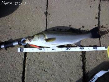 �����Х�