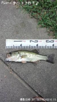 �֥�å��Х�