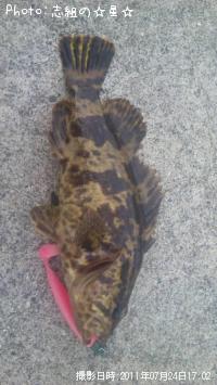 ¥¿¥±¥Î¥³¥á¥Ð¥ë