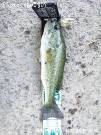 ¥Ö¥é¥Ã¥¯¥Ð¥¹