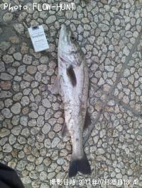 �����Х�