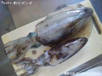 ¥¢¥ª¥ê¥¤¥«