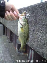 ¥Ö¥é¥Ã¥¯¥Ð¥¹