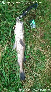 �����Х�