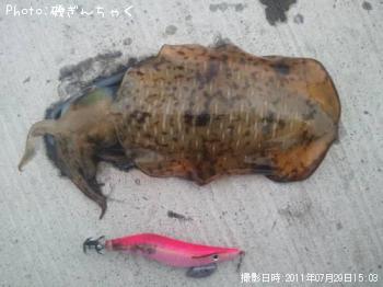 �����ꥤ��