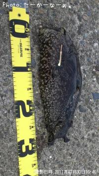 ���ߥ���