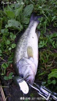 �֥�å��Х�