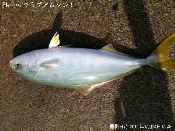 �����ä�