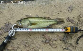 ¥Ö¥é¥Ã¥¯¥Ð¥¹