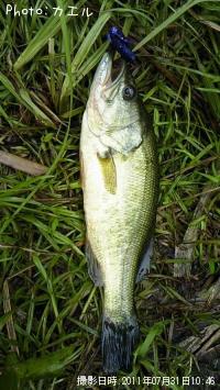 �֥�å��Х�