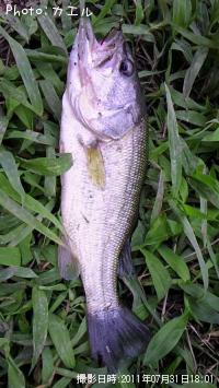 �֥�å��Х�