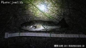 �֥�å��Х�