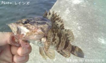 �����Υ���Х�