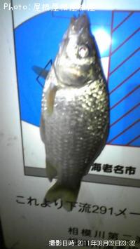 ʫ�Фä�����ޡ�