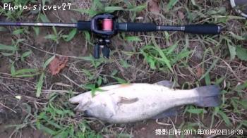 �֥�å��Х�