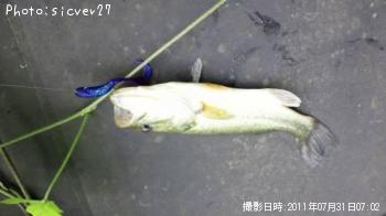 ¥Ö¥é¥Ã¥¯¥Ð¥¹