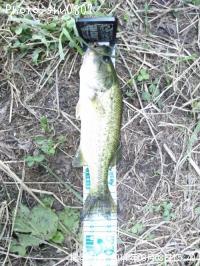 �֥�å��Х�