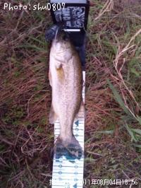 �֥�å��Х�