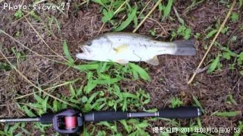 �֥�å��Х�