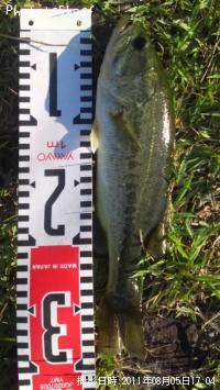 �֥�å��Х�