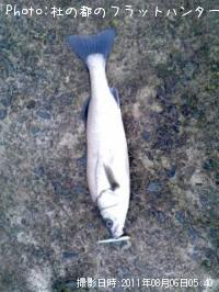 �����Х�