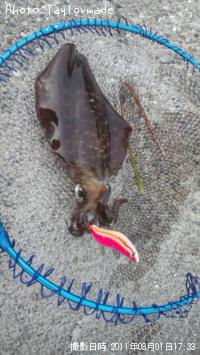 �����ꥤ��