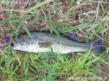 �֥�å��Х�