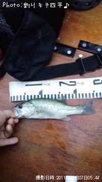 ¥Ö¥é¥Ã¥¯¥Ð¥¹