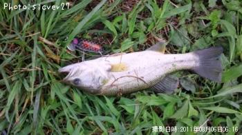 ¥Ö¥é¥Ã¥¯¥Ð¥¹