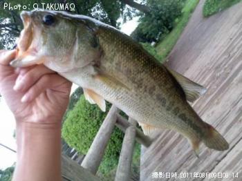 ¥Ö¥é¥Ã¥¯¥Ð¥¹