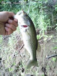 ¥Ö¥é¥Ã¥¯¥Ð¥¹